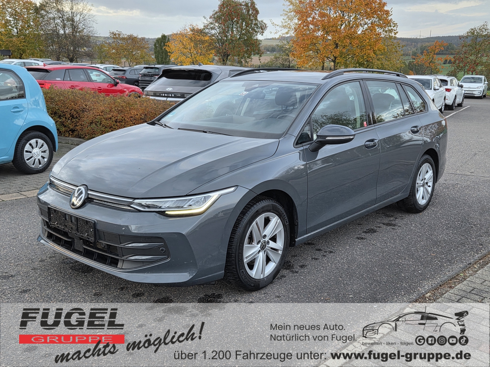 VW Golf