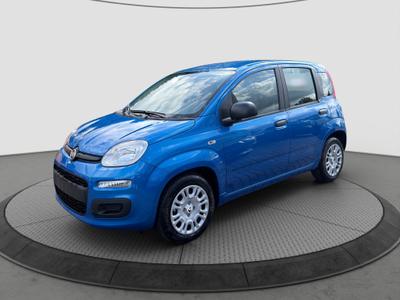 Fiat Pandina