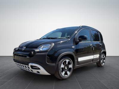 Fiat Pandina