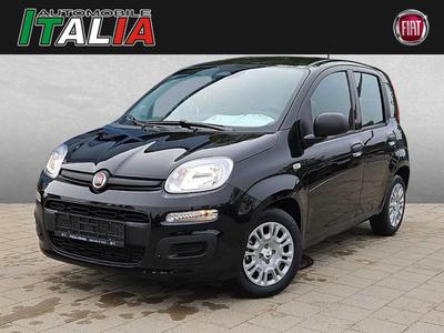 Fiat Andere