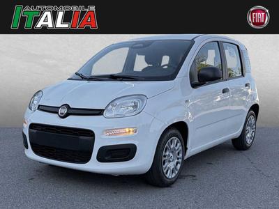 Fiat Andere