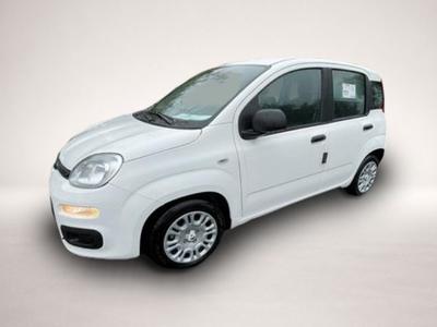 Fiat Andere