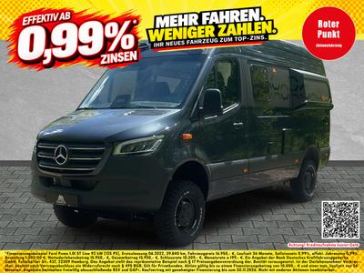 Frankia Andere