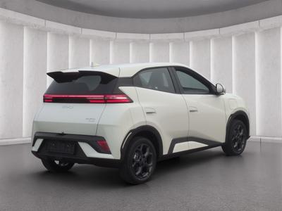 BYD DOLPHIN SURF
