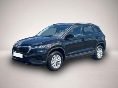 Skoda Andere