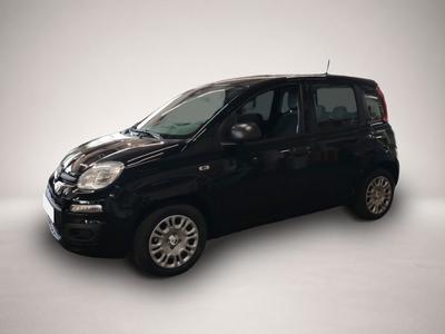 Fiat Andere