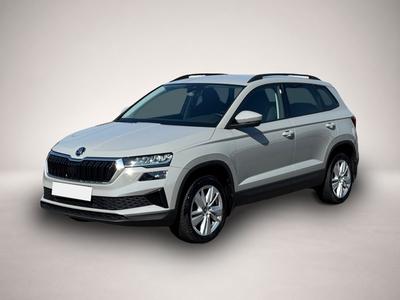 Skoda Andere