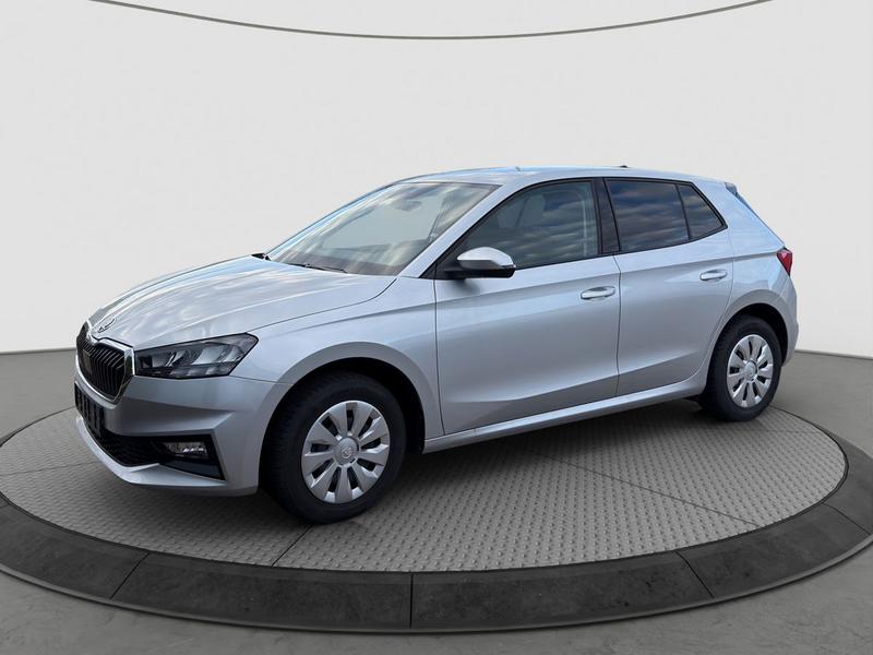 Škoda Fabia Selection in Brilliant-Silber Metallic, Fahrzeug 090193