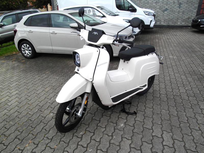 Govecs Andere