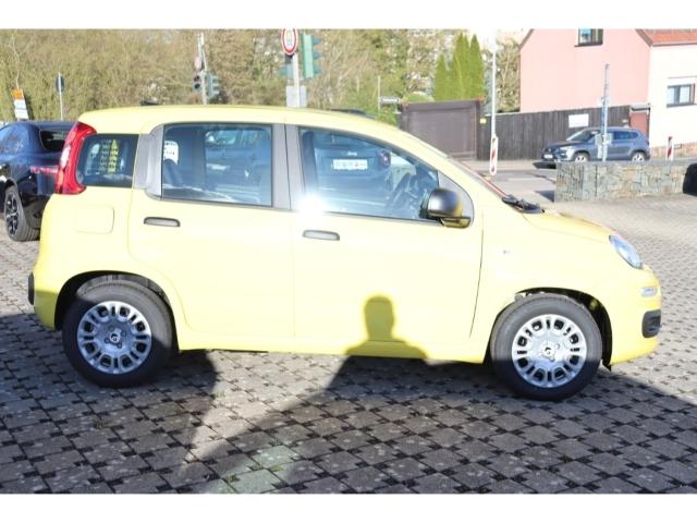 Fiat Pandina