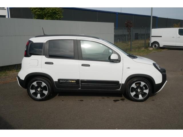 Fiat Pandina