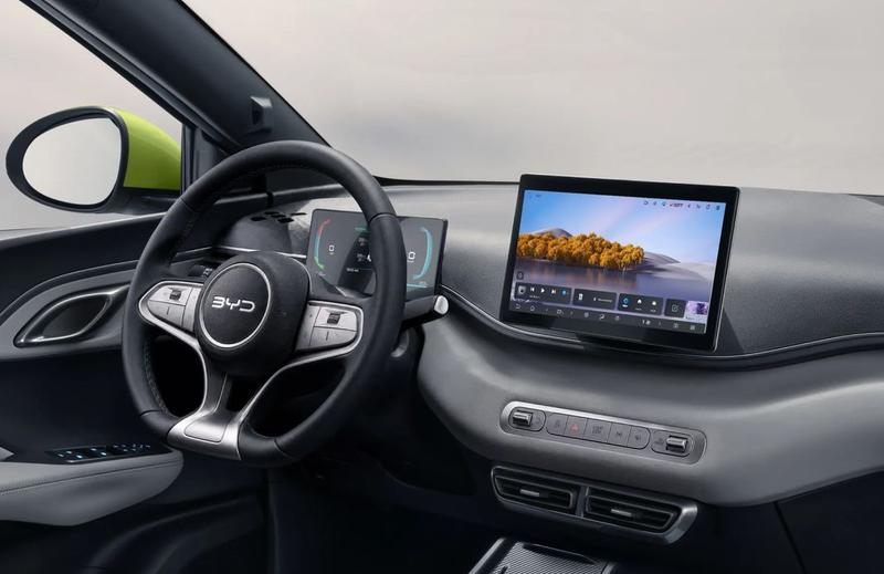BYD DOLPHIN SURF