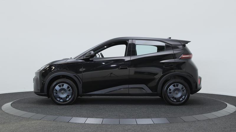 BYD DOLPHIN SURF