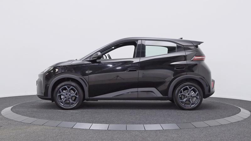 BYD DOLPHIN SURF