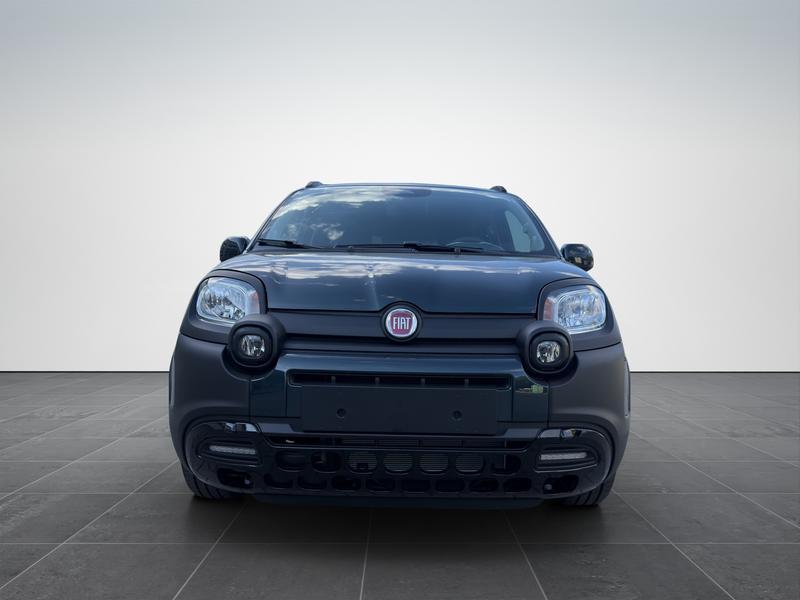 Fiat Pandina