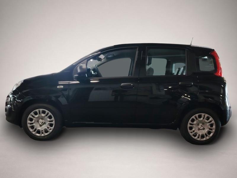 Fiat Andere