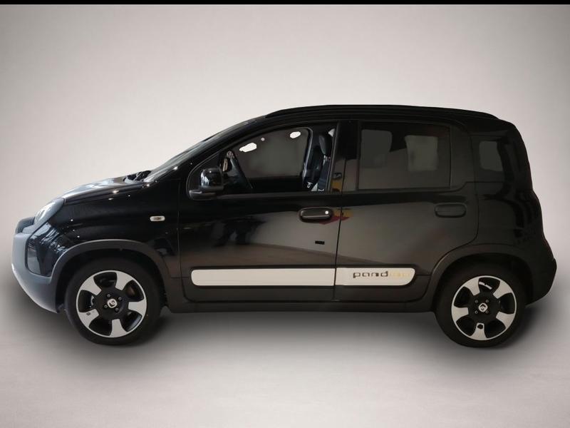 Fiat Andere