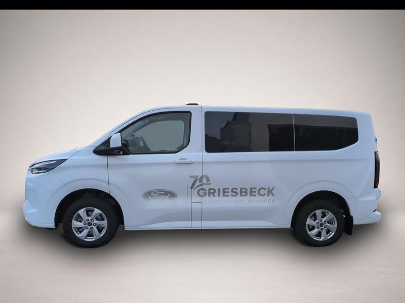 Ford Andere