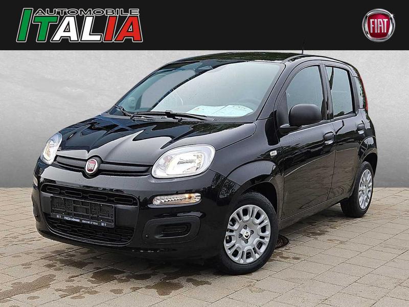 Fiat Andere