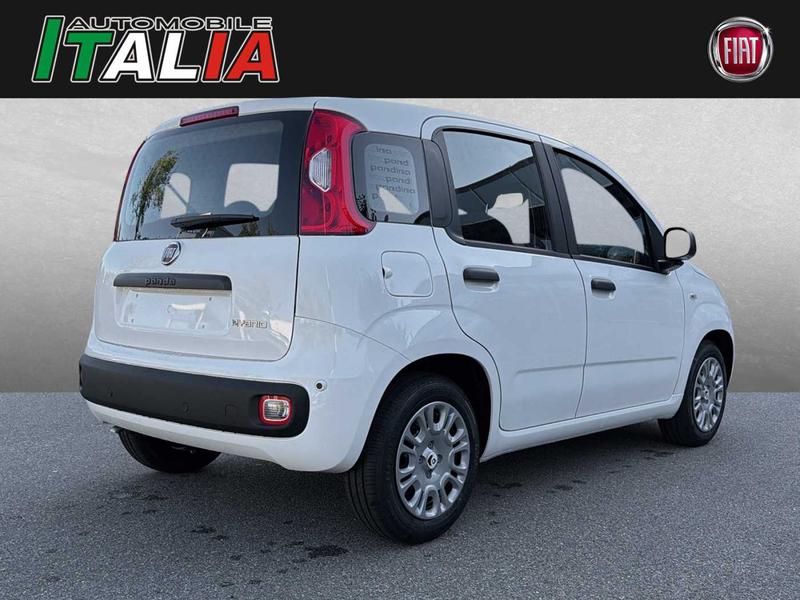 Fiat Andere