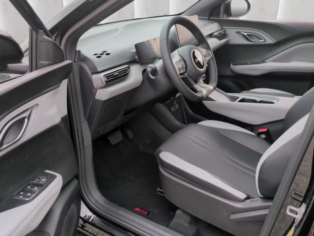 BYD DOLPHIN SURF