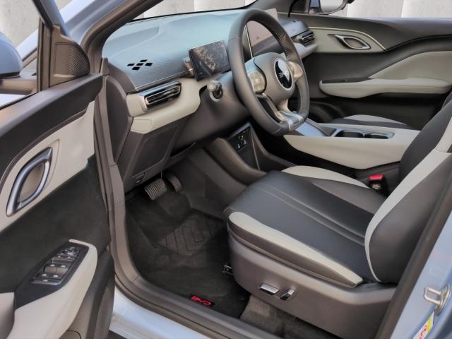 BYD DOLPHIN SURF