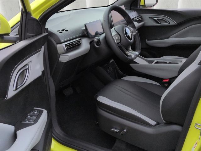 BYD DOLPHIN SURF
