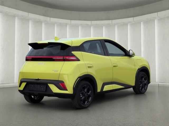 BYD DOLPHIN SURF