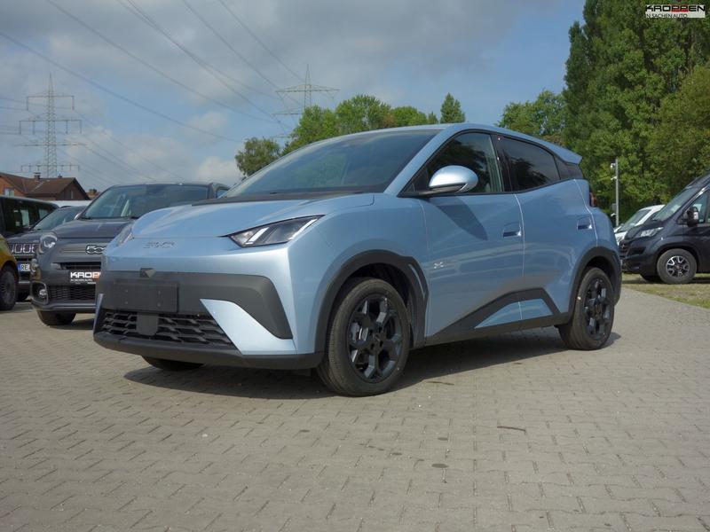 BYD DOLPHIN SURF
