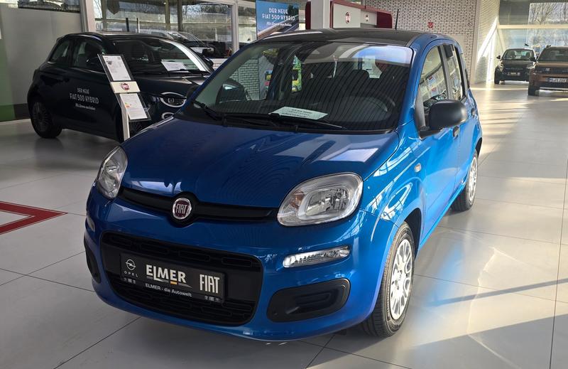 Fiat Pandina