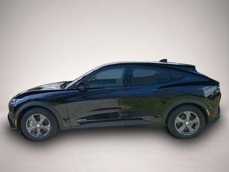 Ford Mustang MACH-E