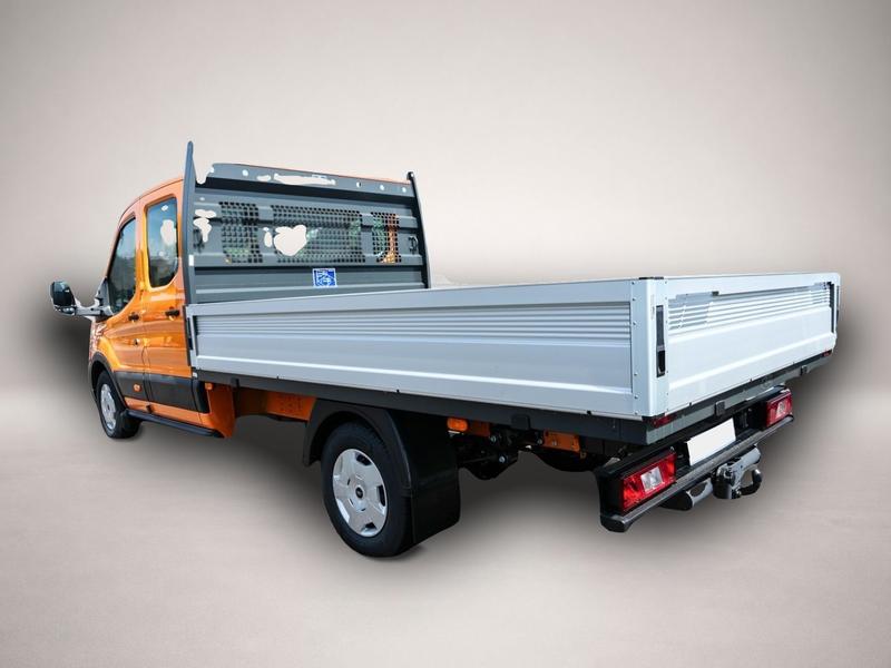 Ford Andere