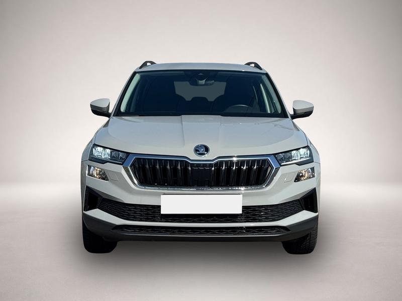 Skoda Andere