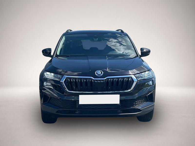 Skoda Andere