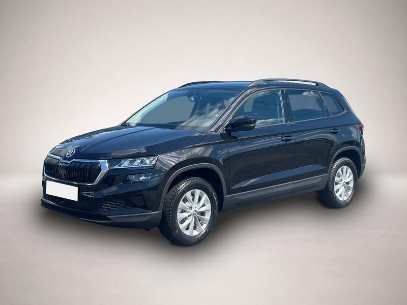 Skoda Andere