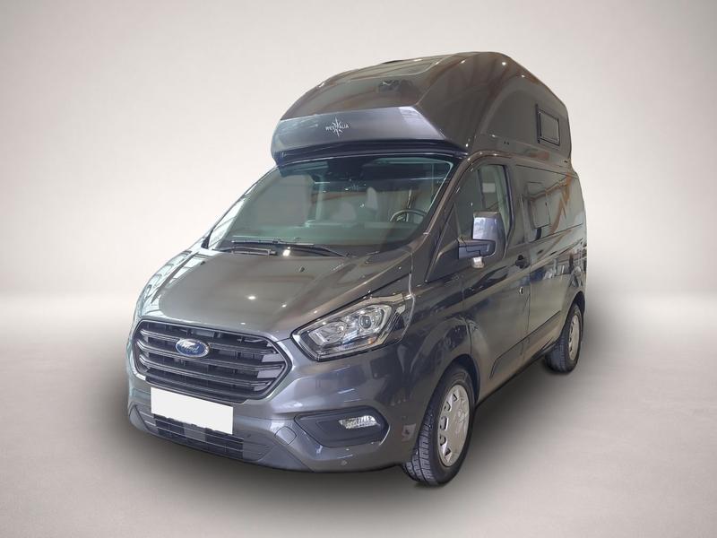 Ford Andere