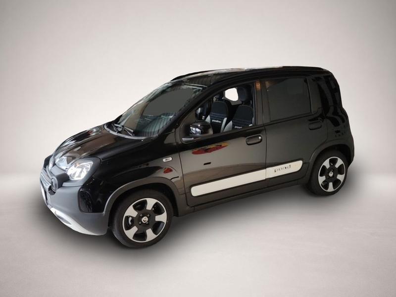 Fiat Andere