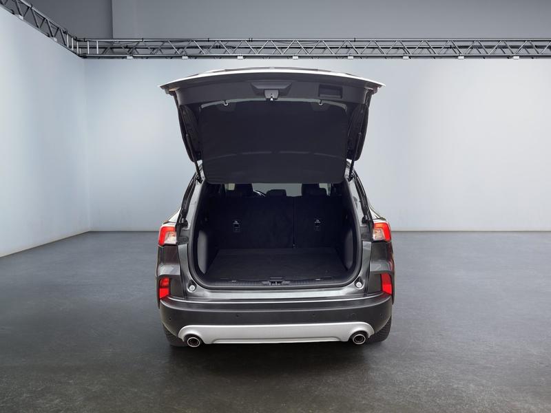 Ford Kuga · Titanium · Bild 14
