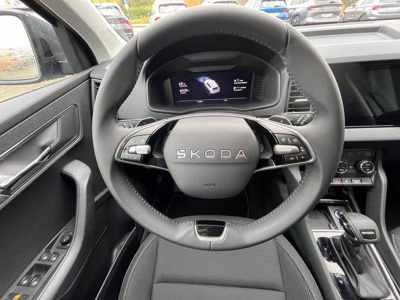 Skoda Karoq · Tour · Bild 12