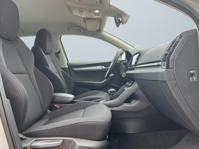 Skoda Karoq · Tour · Bild 10