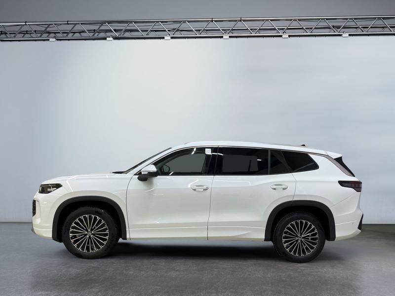 VW Tayron · Elegance