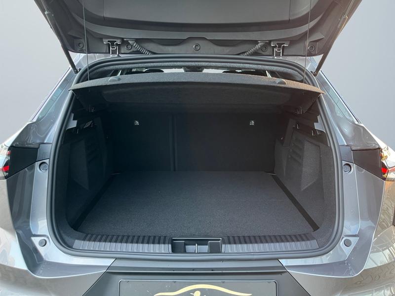 Mitsubishi Grandis · Diamant Plus · Bild 10
