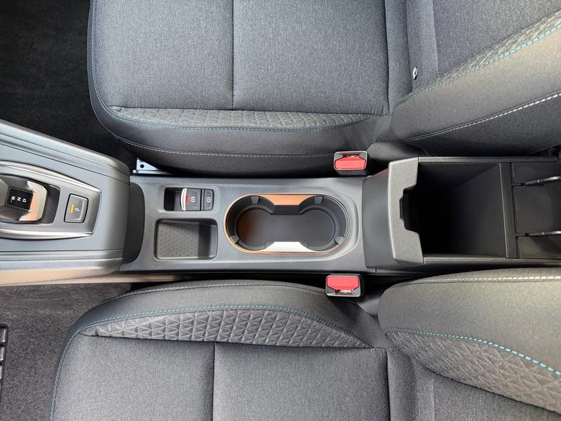 Mitsubishi Grandis · Diamant Plus · Bild 19
