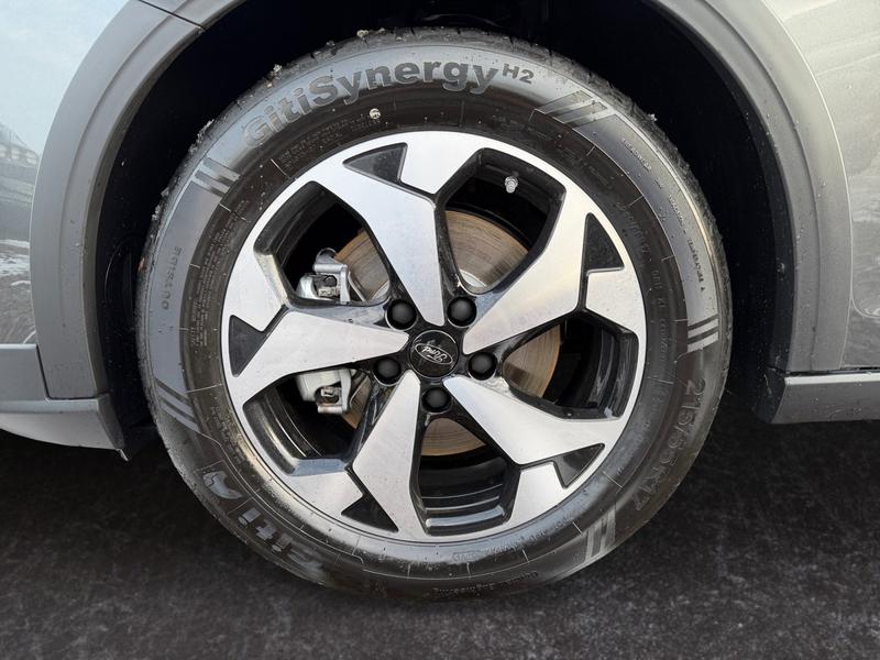 Ford Grand Tourneo · Active · Bild 15