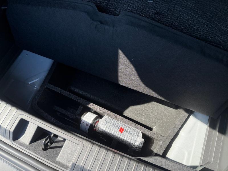 Mitsubishi Grandis · Diamant PLUS · Bild 21