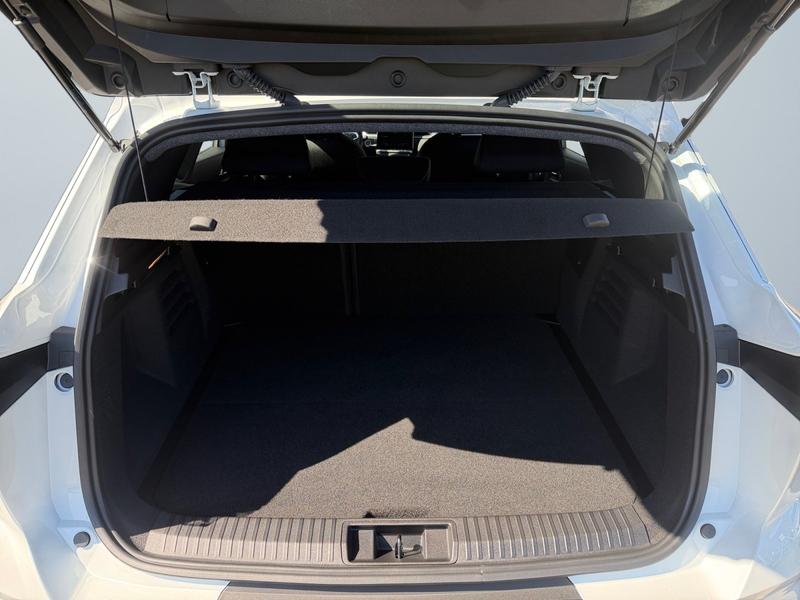 Mitsubishi Grandis · Diamant PLUS · Bild 14