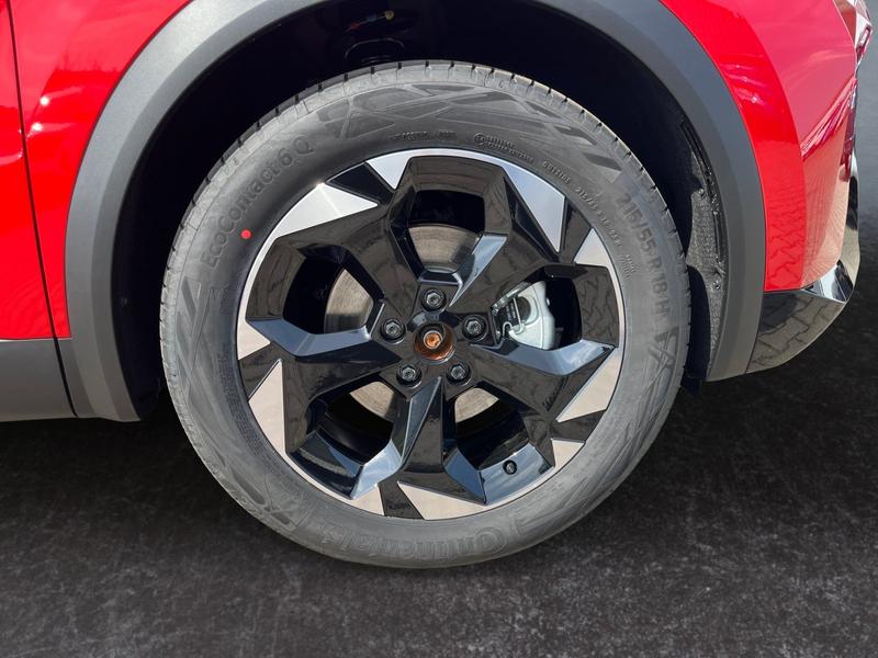 Mitsubishi Grandis · Diamant PLUS · Bild 11