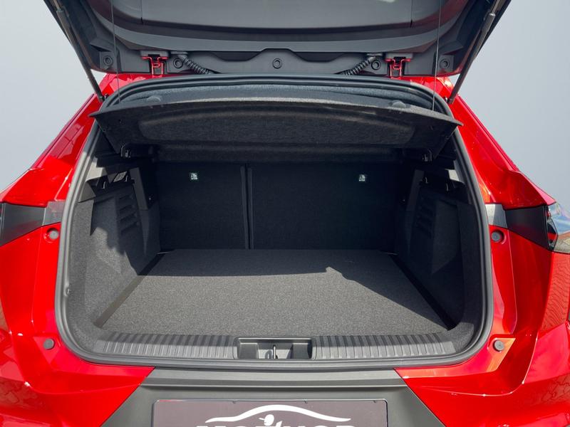 Mitsubishi Grandis · Diamant PLUS · Bild 10