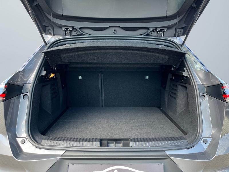 Mitsubishi Grandis · Diamant Plus · Bild 14
