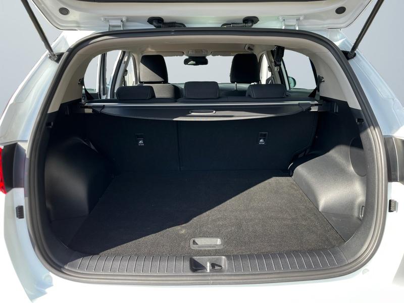 Kia Sportage · Vision · Bild 14